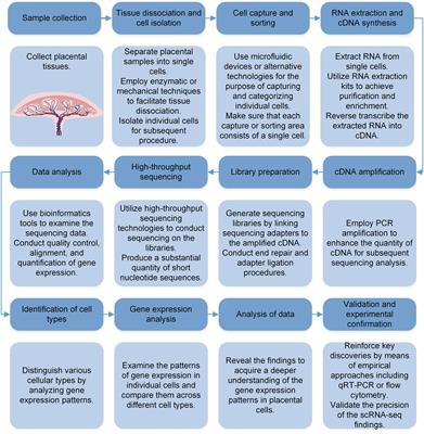 An update review of the application of single-cell RNA sequencing in pregnancy-related diseases